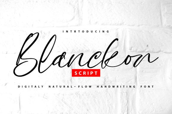 Blanckon: A Stylish Script Font