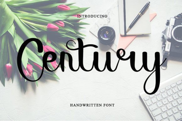 Century Font: A Creative Typeface