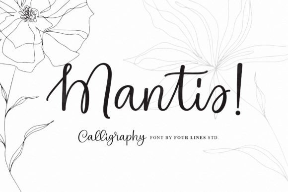 Mantis: A Modern Script Font